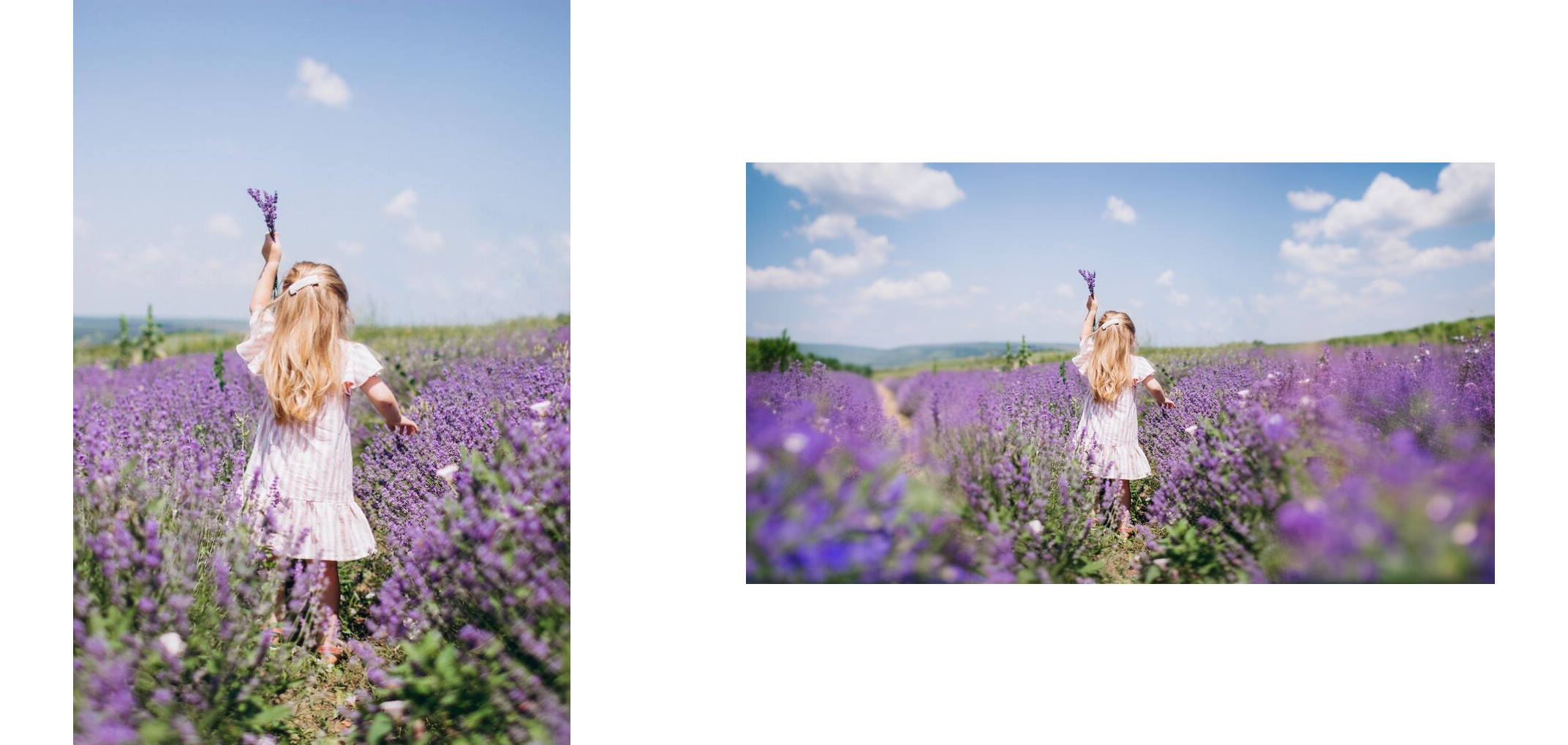 Girl lavender photo extended uncropped Uncrop Stability AI